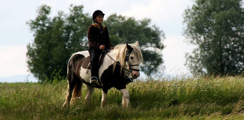 Horse riding Romania